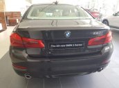 Bán BMW 5 Series sản xuất năm 2019, nhập khẩu