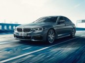 Bán BMW 5 Series sản xuất năm 2019, nhập khẩu