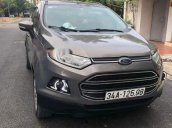 Gia đình bán Ford EcoSport đời 2015, màu xám