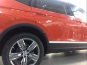 Bán Volkswagen Tiguan đời 2019, màu đỏ, xe nhập