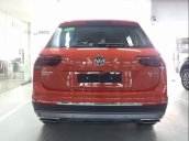 Bán Volkswagen Tiguan đời 2019, màu đỏ, xe nhập