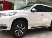 Cần bán xe Mitsubishi Pajero MT sản xuất năm 2019