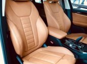 Bán xe BMW X3 xDrive30i xLine sản xuất 2019, nhập khẩu