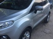 Bán Ford EcoSport đời 2016, màu bạc 