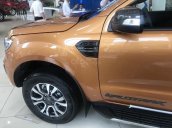 Bán ô tô Ford Ranger Wildtrak năm 2019, màu nâu, nhập khẩu, 868 triệu