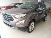 Cần bán xe Ford EcoSport đời 2019, màu xám