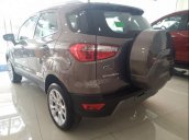 Cần bán xe Ford EcoSport đời 2019, màu xám