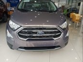 Cần bán xe Ford EcoSport đời 2019, màu xám