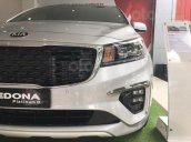 Cần bán Kia Sedona Luxury D 2019, màu bạc