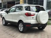 Bán ô tô Ford EcoSport Titanium 2016, màu trắng giá cạnh tranh