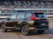 Bán Honda CR V năm sản xuất 2019, nhập khẩu