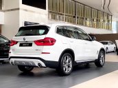 Cần bán xe BMW X3 xDrive30i xLine năm 2019, màu trắng, xe nhập