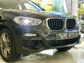 Cần bán BMW X3 xDrive 30i M Sport sản xuất năm 2019, nhập khẩu