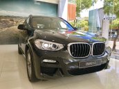 Cần bán BMW X3 xDrive 30i M Sport sản xuất năm 2019, nhập khẩu