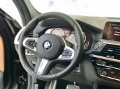 Cần bán BMW X3 xDrive 30i M Sport sản xuất năm 2019, nhập khẩu