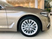 Bán BMW 5 Series 2019, màu xám, xe nhập