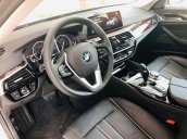 Bán BMW 5 Series 2019, màu xám, xe nhập