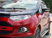 Bán Ford Ecosport Titanium sản xuất 2017