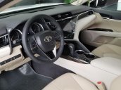 Bán Toyota Camry 2019 - Nhập khẩu Thái Lan - Đủ màu - Giao ngay