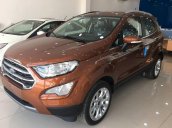 Bán xe Ford EcoSport sản xuất 2019, giảm tiền mặt, tặng phụ kiện