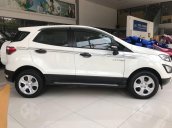 Bán Ford EcoSport năm 2019, màu trắng