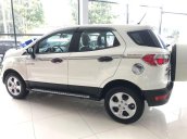 Bán Ford EcoSport năm 2019, màu trắng