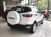 Bán Ford EcoSport năm 2019, màu trắng