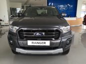 Cần bán Ford Ranger Wildtrak năm 2019, nhập khẩu giá cạnh tranh