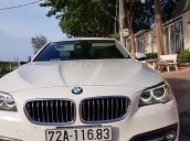 Cần bán gấp BMW 5 Series 520i đời 2015, màu trắng, nhập khẩu nguyên chiếc