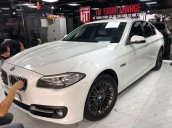 Bán BMW 5 Series 520i năm sản xuất 2015, màu trắng