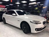 Bán BMW 5 Series 520i năm sản xuất 2015, màu trắng