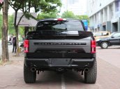 Ford F 150 Harley Davidson 5.0 V8 2019