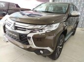 Bán xe Mitsubishi Pajero năm sản xuất 2019, màu nâu, xe nhập