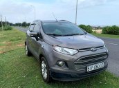 Bán xe Ford EcoSport Titanium 1.5L AT năm sản xuất 2015, màu xám