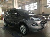 Bán Ford EcoSport Titanium năm 2016, màu xám giá cạnh tranh