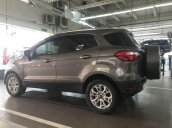 Bán Ford EcoSport Titanium năm 2016, màu xám giá cạnh tranh