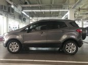 Bán Ford EcoSport Titanium năm 2016, màu xám giá cạnh tranh