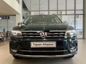 Cần bán xe Volkswagen Tiguan năm sản xuất 2019, màu xanh lục, nhập khẩu nguyên chiếc