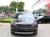 Bán Kia Sedona sản xuất năm 2019, màu đỏ, nhập khẩu