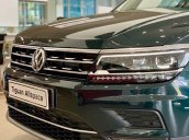 Cần bán xe Volkswagen Tiguan năm sản xuất 2019, màu xanh lục, nhập khẩu nguyên chiếc