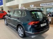 Cần bán xe Volkswagen Tiguan năm sản xuất 2019, màu xanh lục, nhập khẩu nguyên chiếc