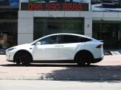 Bán xe Mỹ Tesla X P100D SX 2018