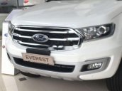 Bán xe Ford Everest 2019, màu trắng, nhập khẩu