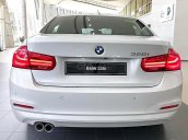 Bán BMW 3 Series 320i sản xuất 2019, màu trắng, xe nhập