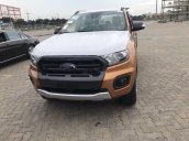 Bán xe Ford Ranger 2019, nhập khẩu nguyên chiếc, giá tốt