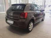 Bán Volkswagen Polo đời 2017, màu nâu, nhập khẩu, số tự động