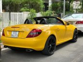 Bán Mercedes SLK350 2008, màu vàng, nhập khẩu