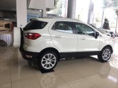 Bán Ford Ecosport xe mới, chính hãng, liên tục giảm giá, đủ màu, đủ phiên bản giao luôn. LH 0965.423.558