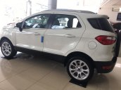 Bán Ford Ecosport xe mới, chính hãng, liên tục giảm giá, đủ màu, đủ phiên bản giao luôn. LH 0965.423.558