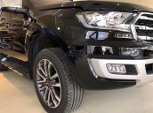 Cần bán Ford Everest đời 2019, màu đen, nhập khẩu